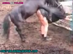 Chubby wife endures horse sex in slutty outdoor scenes